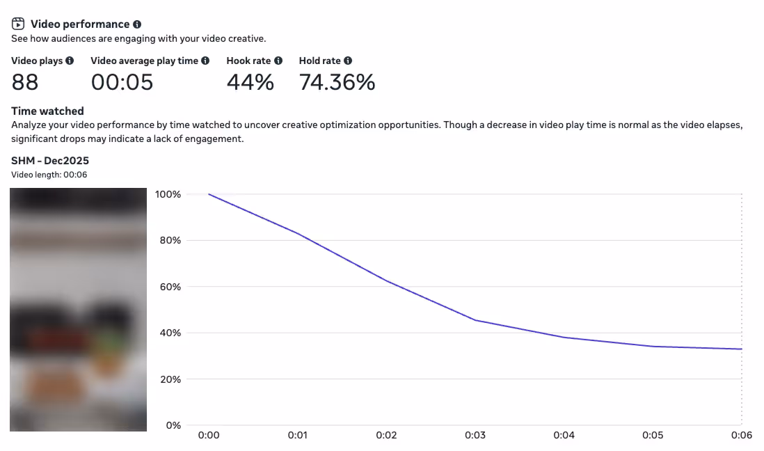 Meta-Ads-Performance-Example